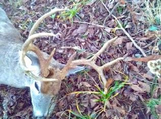 0 State Route Ave, Mountain Grove, MO 65711