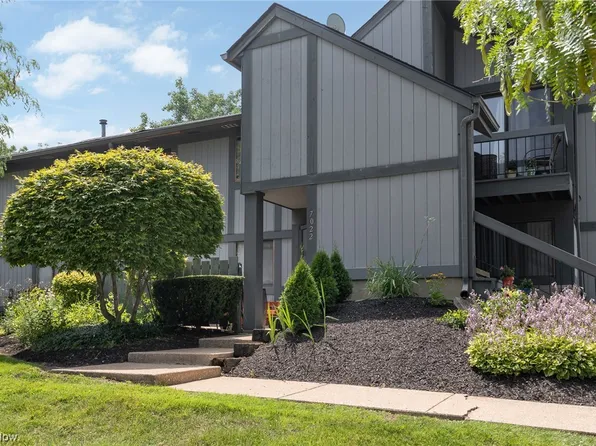 7022 Bristlewood Dr W, Painesville, OH 44077