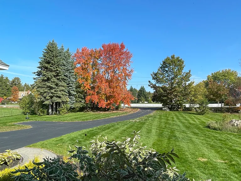 Front Yard & Driveway