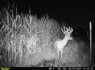 1537 360th St, Decorah, IA 52101