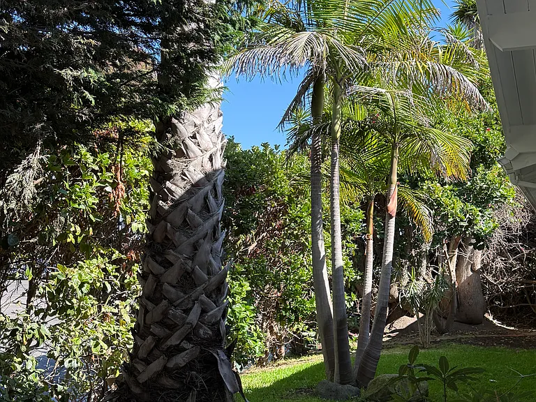 8862 La Jolla Scenic Dr N — Photo 22