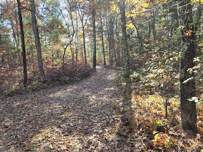 V/l W Coolidge, Bitely, MI, 49309