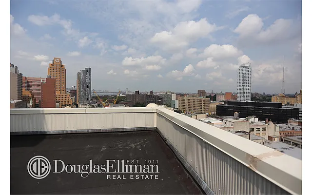 Rented by Douglas Elliman | media 26