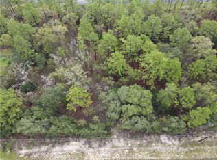 6593 N Darlington Dr, Citrus Springs, FL 34434