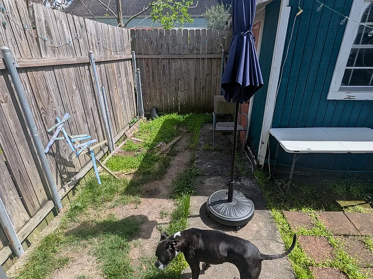 938 Moss St — Photo 20