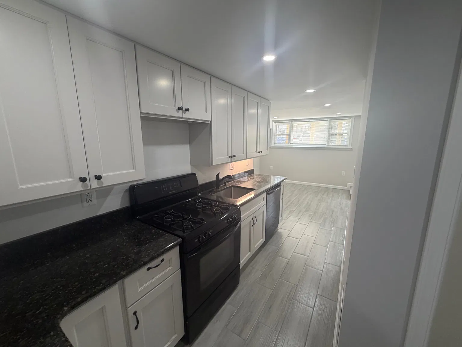 1 bed, $1,500 — Photo 4