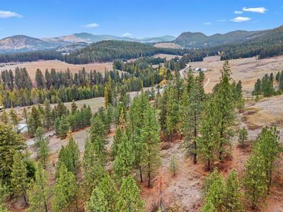 Bossburg Rd, Evans, WA, 99126