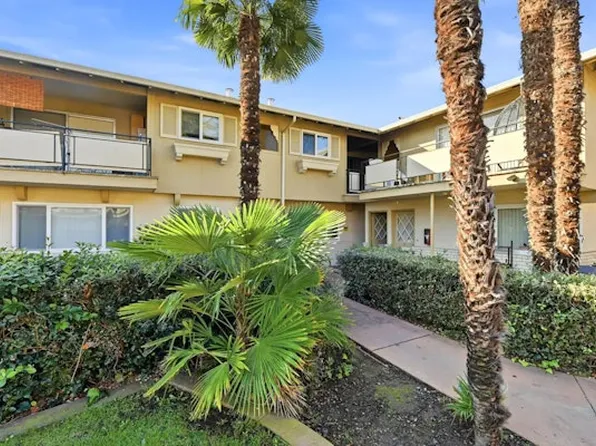 364 and 366 Olive Ave.