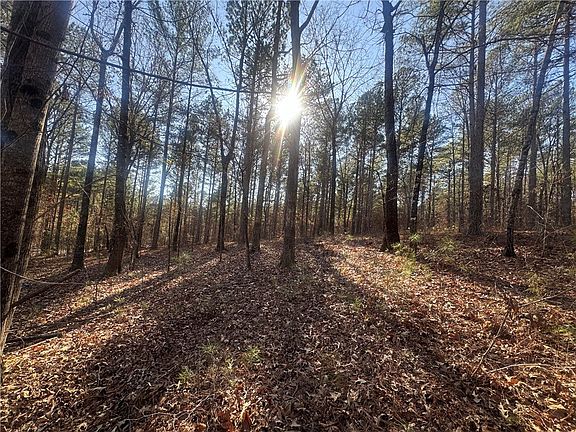 5th image of 704 Timberbrook Trl