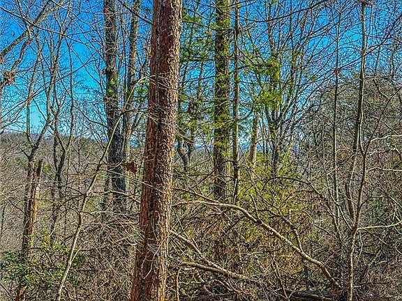 5th image of 0 River Highlands Rd #B