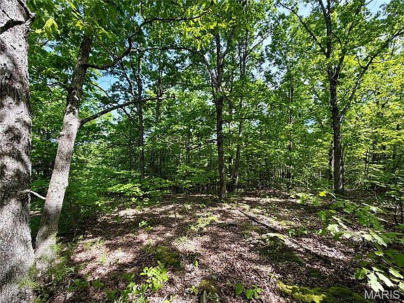 2nd image of 0 Pratt Rd