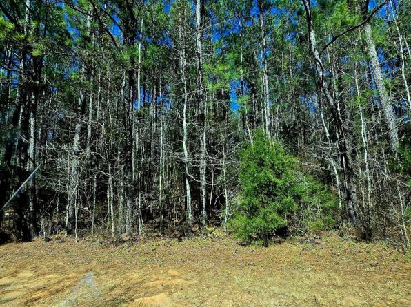 809 Mary McClendon Rd, Ozark, AL 36360