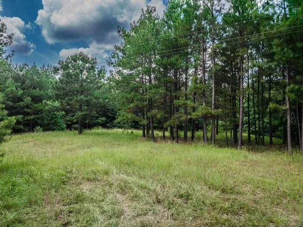 County Road 1632, Linden, TX 75563