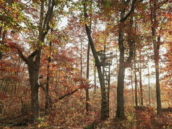 0 Reed Ln, Soddy Daisy, TN 37379