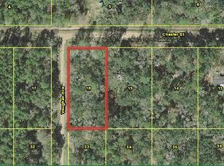 9700 Vaughan Ave, Hastings, FL 32145