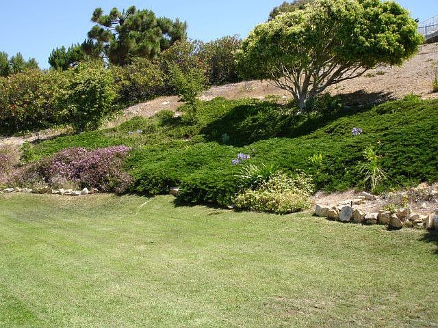 2nd image of 7206 Avenida Altisima