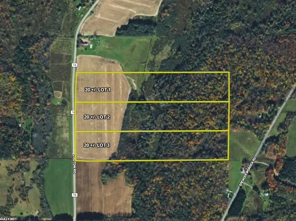County Route 16 Lot Wp001, Dalton, NY 14836