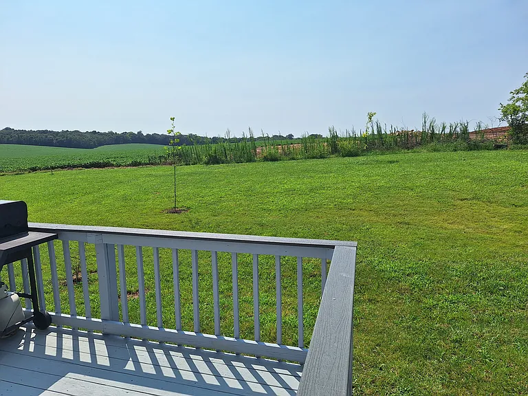 Relaxing, beautiful view of rolling farmland and large back yard!
