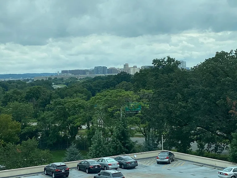 The view from the window in Spring when trees hide the Iwo Jima statue.