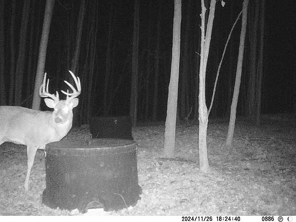3rd image of 9407 Beavers Ridge Rd