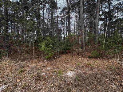 Dogwood Trl, Harleton, TX, 75651