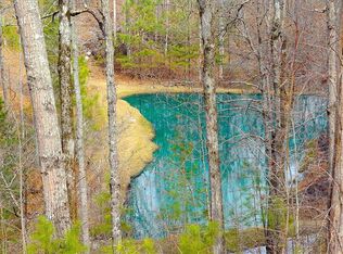 2043 Narroway Church Cir, Dallas, GA 30132