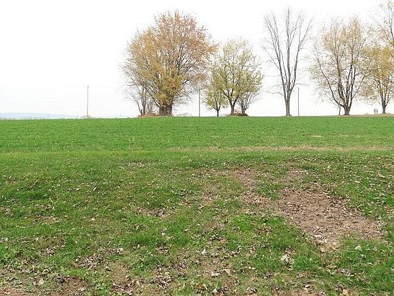 View from Covered Deck
