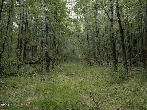 2nd image of 0 Dog Pen Rd