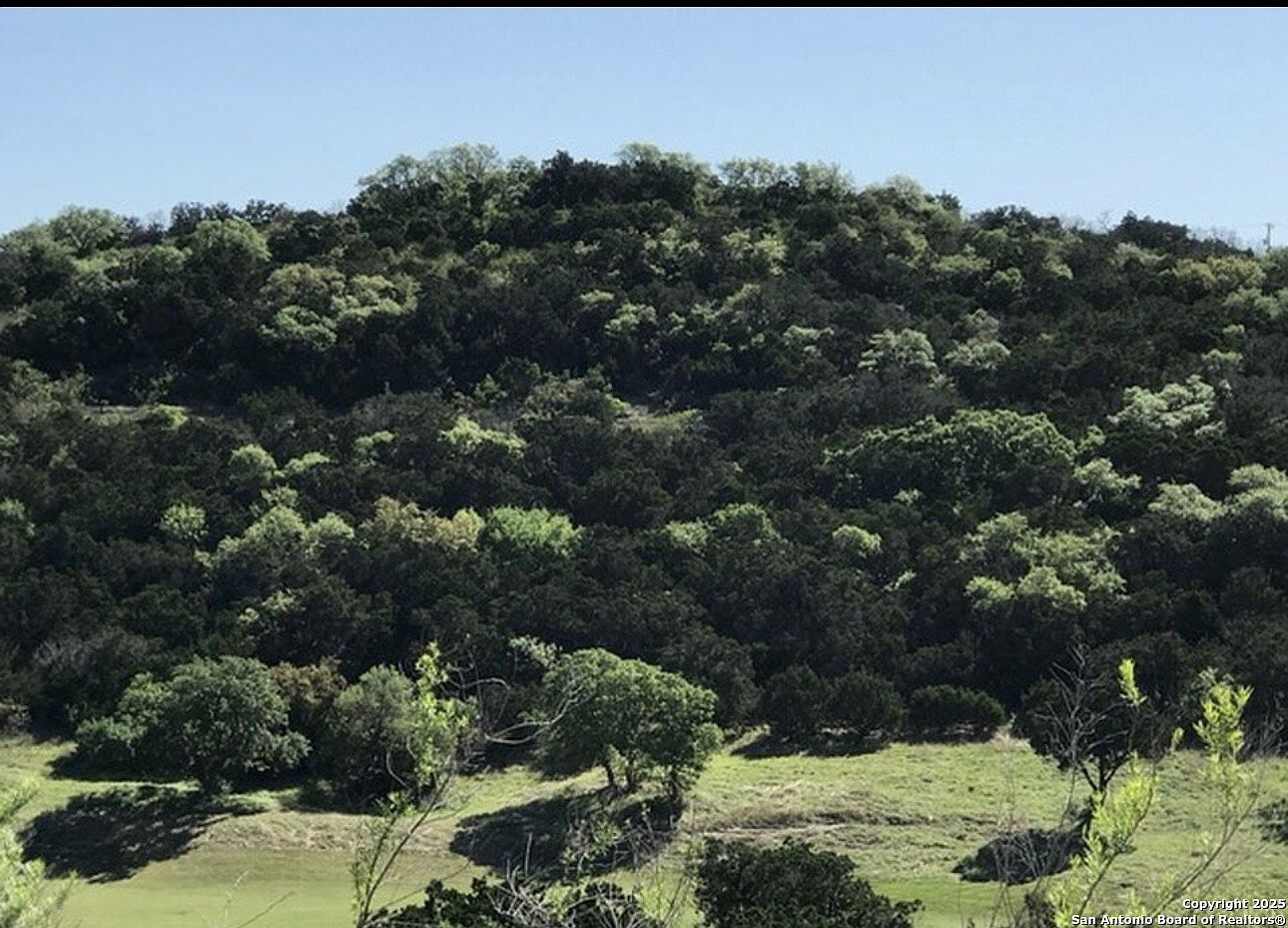 17719 Rancho Diana LOT 175