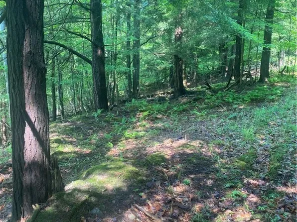 State Rd Lot 41, Bolivar, NY 14715