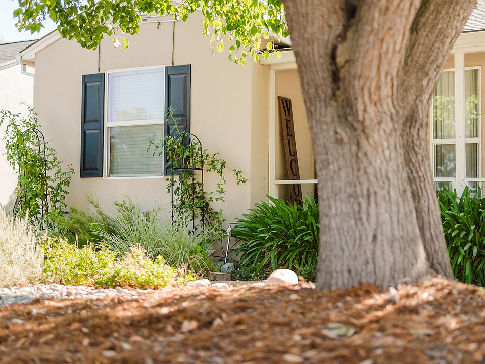 Front yard view of home with climbing roses and new windows.