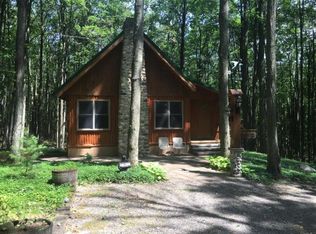 11105 White Ash Trl, Vanderbilt, MI 49795