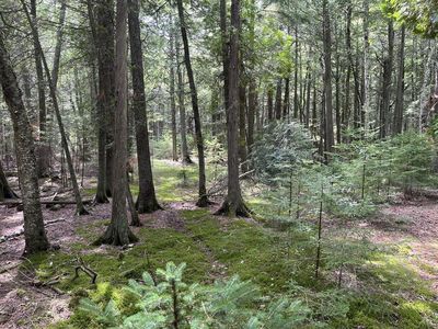 W Cana Island Rd, Baileys Harbor, WI, 54202
