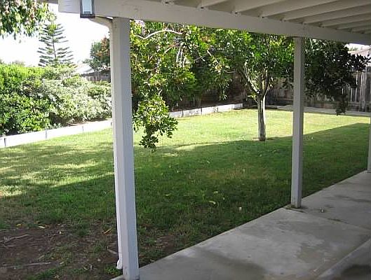 Backyard