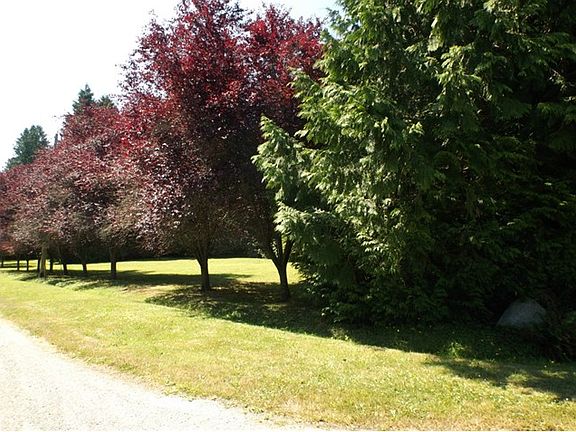 4th image of 2020 Marandy Pl