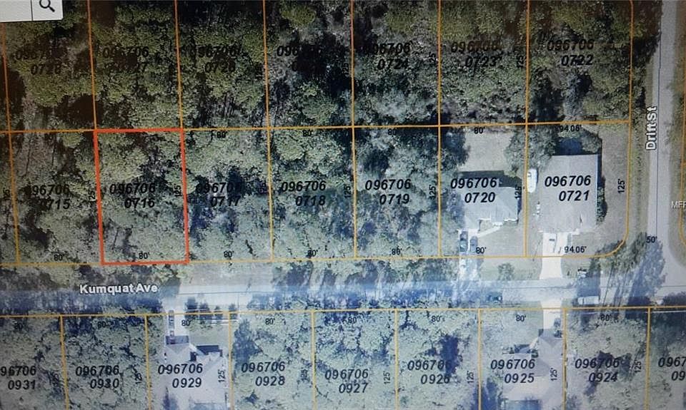 1st image of Kumquat Ave