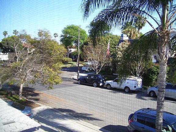 Looking out the kitchen window.
