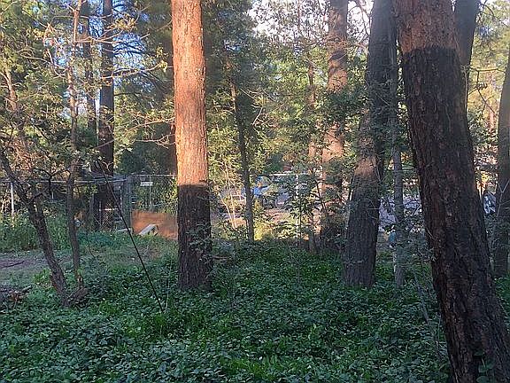 Looking out front door 