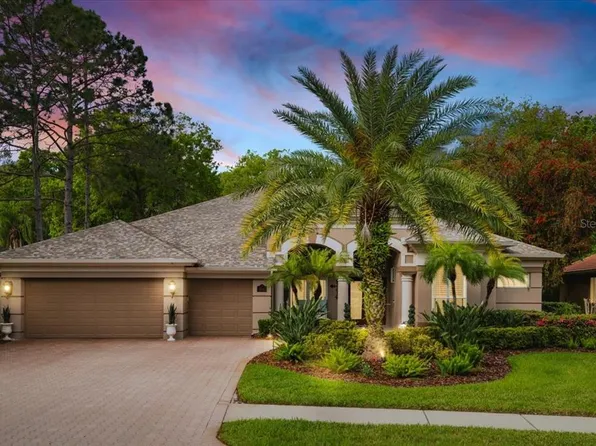 2843 Grey Oaks Blvd, Tarpon Springs, FL 34688