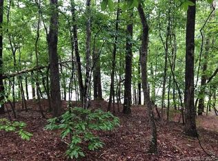 9 S Cove Rd, Mill Spring, NC 28756