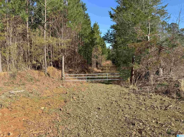 1280 County Road 12, Wadley, AL 36276