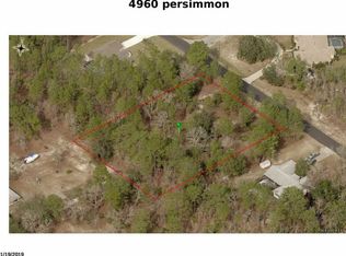 4960 N Persimmon Dr, Beverly Hills, FL 34465