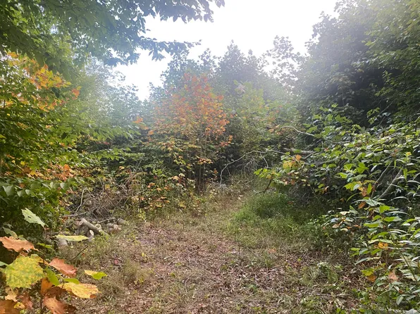 29361 Locust Grove Rd, Mc Arthur, OH 45651