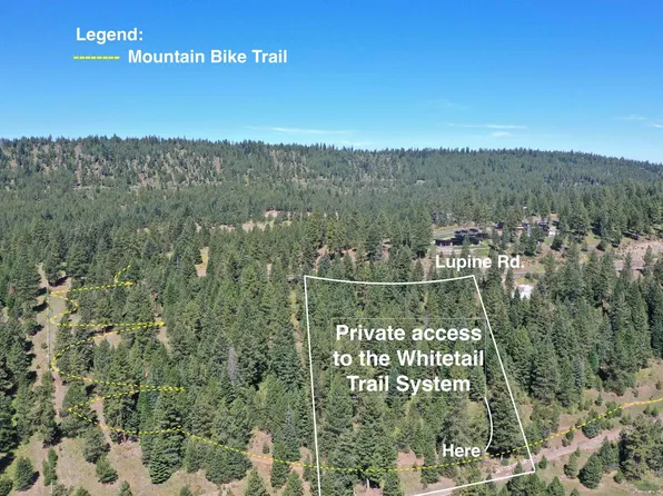 5541 Lupine Ln, McCall, ID 83638