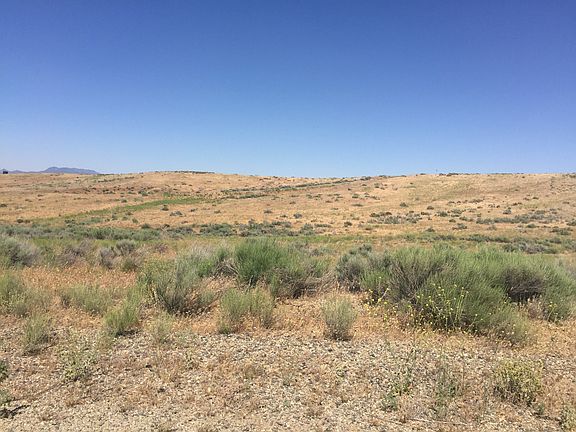 Looking S. from Wakeman Way