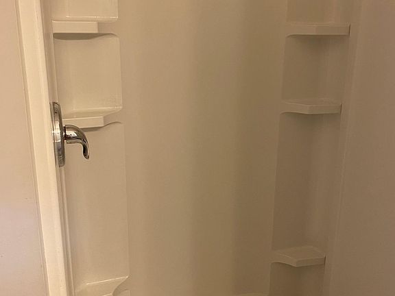 Master bathroom with walk-in shower.