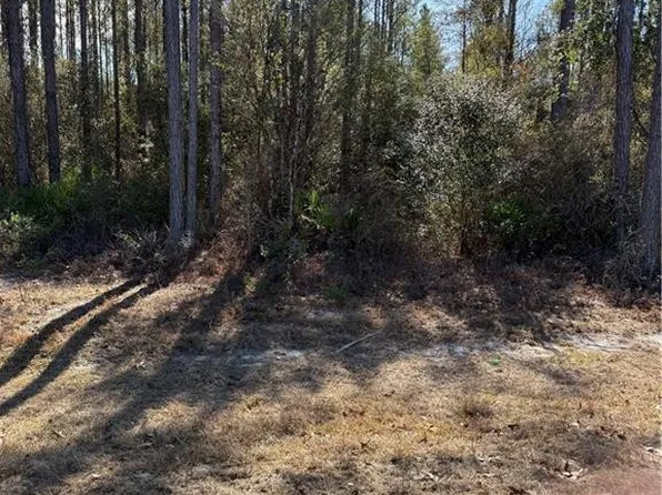 0 Heritage Cir, Hortense, GA 31543