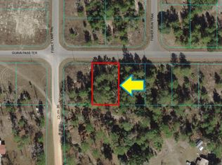 0 Guava Ln, Ocklawaha, FL 32179