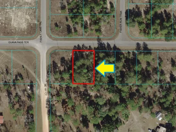 0 Guava Ln, Ocklawaha, FL 32179