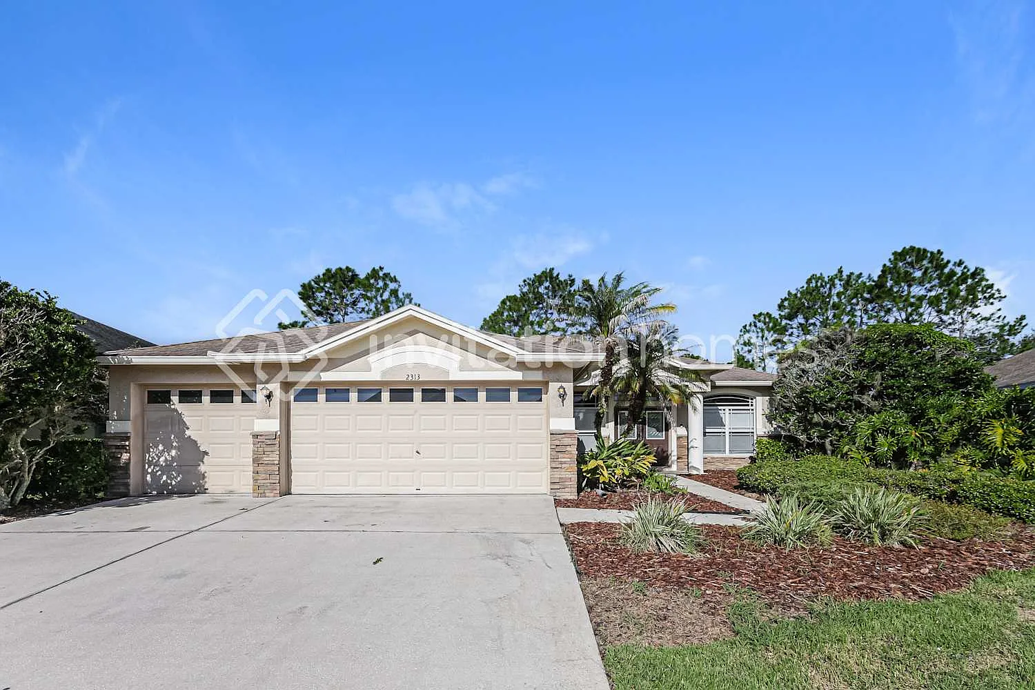 2313 Nesslewood Dr Wesley Chapel, FL 33543 — Photo 1